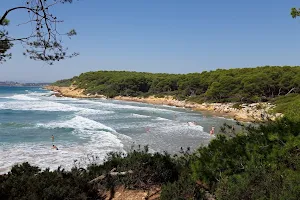 Platja Roca Plana image