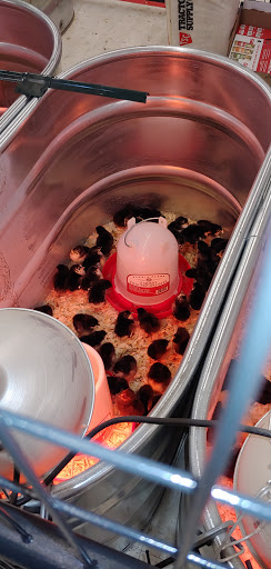 Home Improvement Store «Tractor Supply Co.», reviews and photos, 505 W Central Ave, Springboro, OH 45066, USA