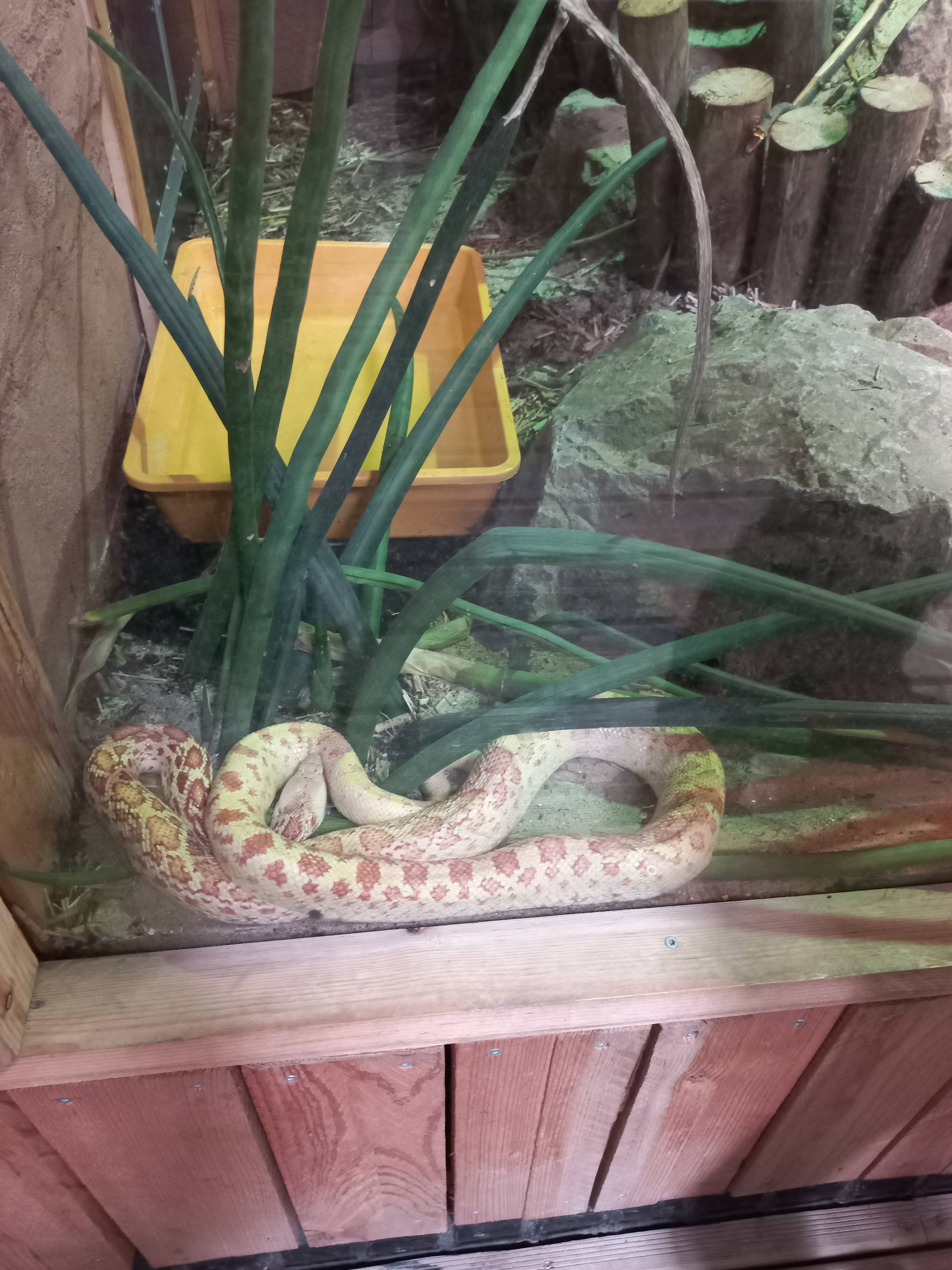 Photo n° 7 de l'avis de Pille.l fait le 26/08/2022 à 11:50