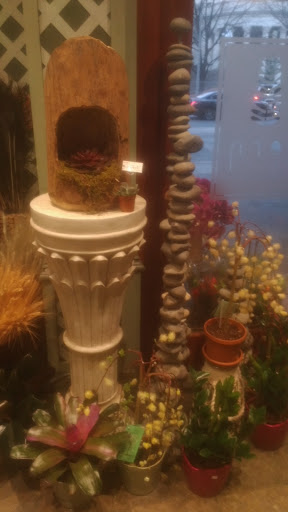 Florist «Fern by Boston Rose Florist», reviews and photos, 225 Massachusetts Ave, Boston, MA 02115, USA
