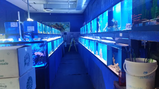 Tropical Fish Store «Tropi-Quatics Pet Center», reviews and photos, 337 S Main St, Lombard, IL 60148, USA