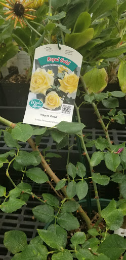 Hardware Store «Johnsons Home & Garden», reviews and photos, 26625 Maple Valley Black Diamond Rd SE, Maple Valley, WA 98038, USA