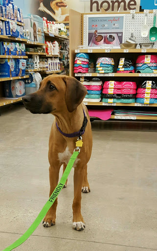 Pet Supply Store «Petco Animal Supplies», reviews and photos, 190 Quality Dr, Hooksett, NH 03106, USA