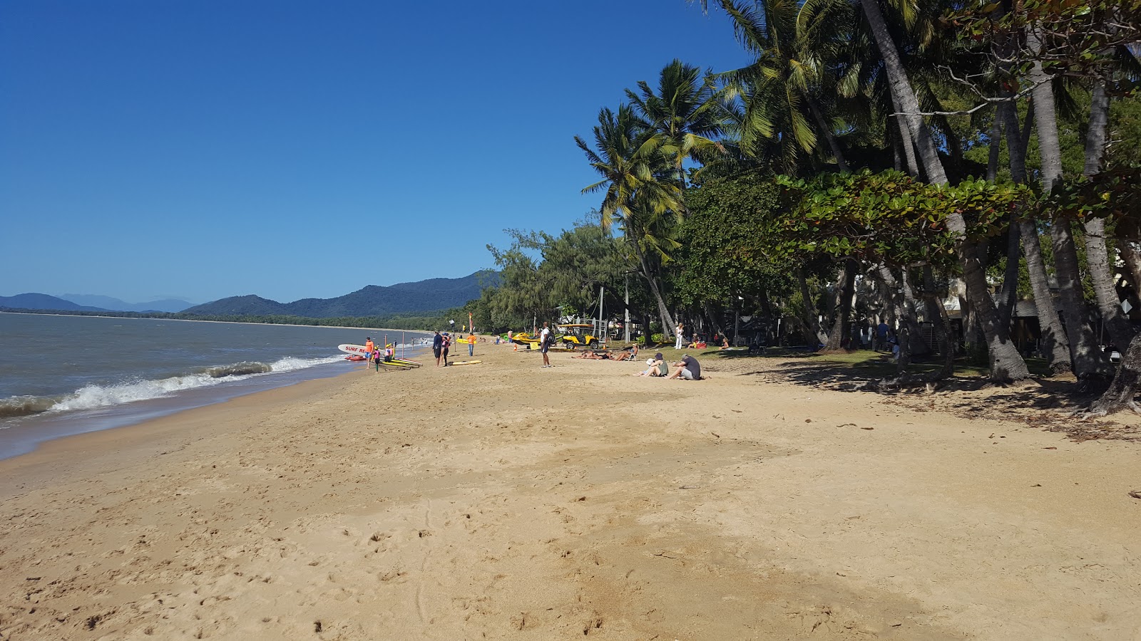 Foto di Palm Cove Beach con una superficie del sabbia beige