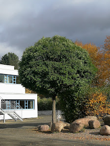 Schule im Innerstetal Lichtenberger Str. 4, 38271 Baddeckenstedt, Deutschland