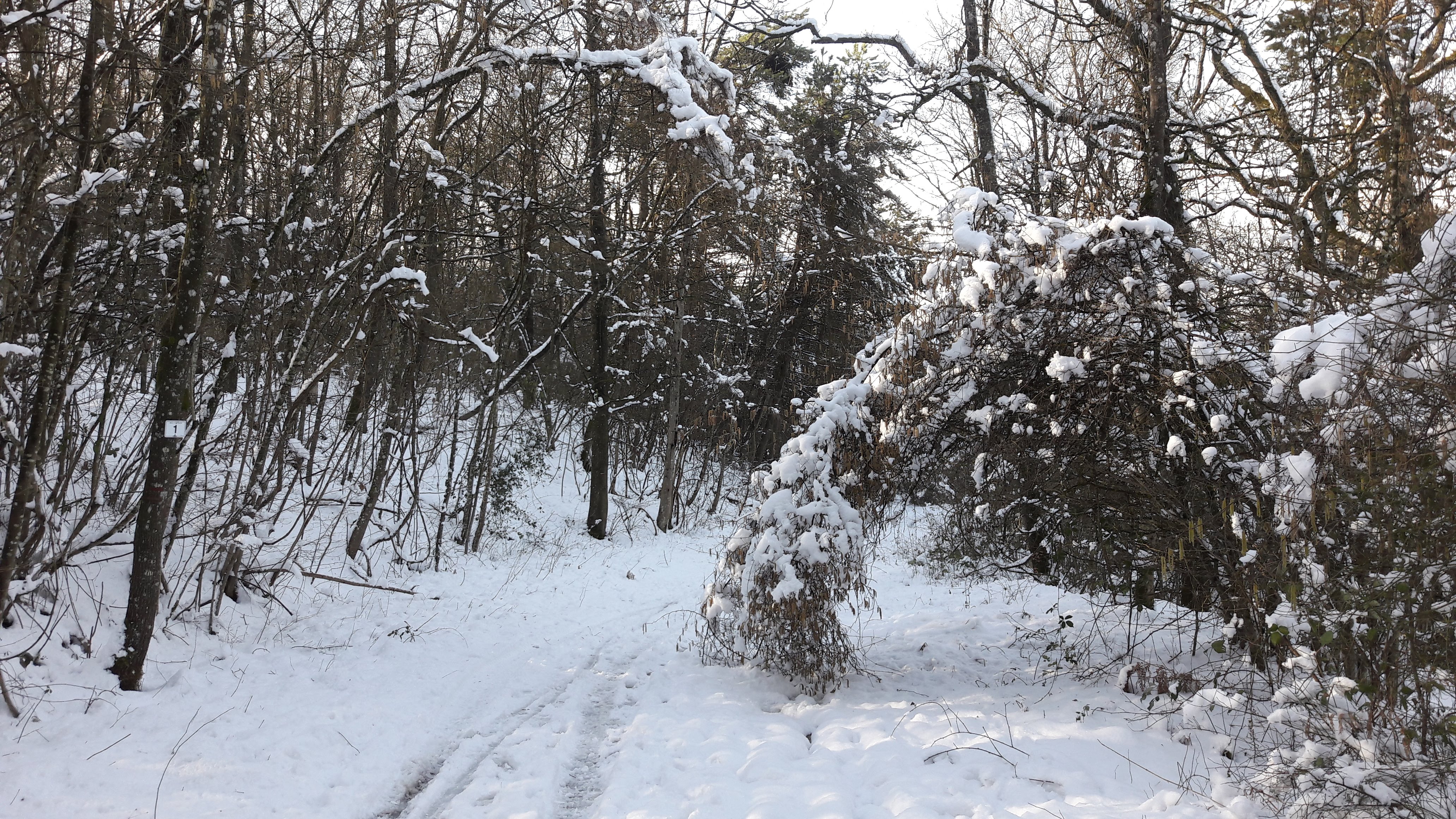 Photo n° 3 de l'avis de Gilles. fait le 10/02/2018 à 17:11