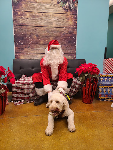 Pet Supply Store «PetSmart», reviews and photos, 157 Levittown Pkwy B, Levittown, PA 19055, USA