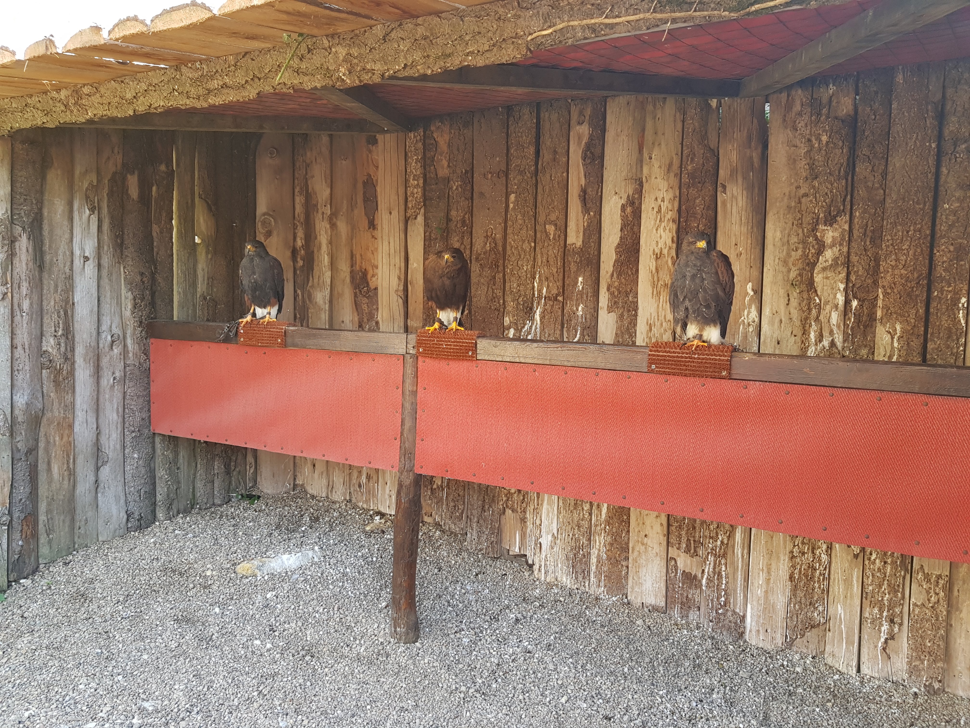 Photo n° 16 de l'avis de Alexandre.L fait le 24/09/2017 à 17:00