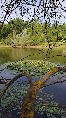 Lac des chanterelles à Saint-Orens-de-Gameville