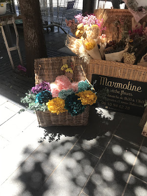 Marmotine le sèche-fleurs à Nice