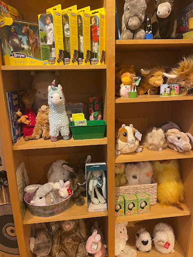 Toy Store «Treehouse Toys Ltd», reviews and photos, 47 Exchange St, Portland, ME 04101, USA