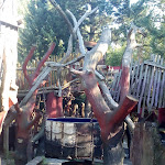 Photo n°1 de l'avis de Miavans.u fait le 23/08/2019 à 06:55 sur le  Baumhaushotel Kulturinsel à Neißeaue