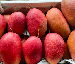Petchnopparat Mango Farm photo