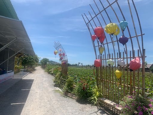 Top 20 cửa hàng speedo Huyện Hòn Đất Kiên Giang 2022