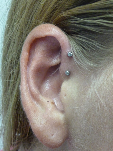 Explore panda tattoo ideas, creative tattoo ideas in Sarasota, available at Z-Edge Tattoo and Body Piercing North Shop