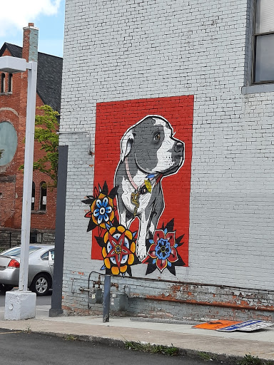 Tattoo Shop «Mellow Madness Tattoo Parlor», reviews and photos, 435 South Ave, Rochester, NY 14620, USA