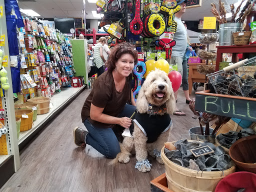 Pet Supply Store «At Your Services Pet Supplies», reviews and photos, 55 S Valle Verde Dr #300, Henderson, NV 89012, USA