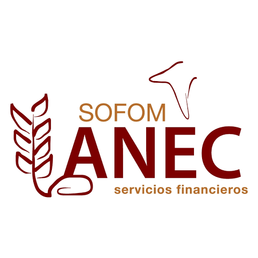 SERVICIOS FINANCIEROS ANEC, S.A. DE C.V. SOFOM E.N.R.