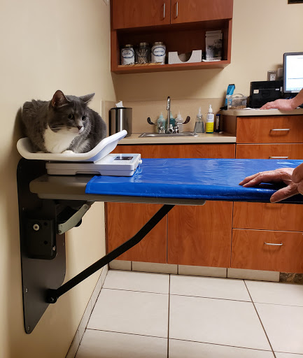 277 Elm St, Amesbury, MA 01913, USA