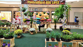 Floricultura Big Love