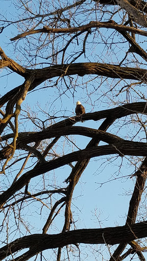 Park «Pearl Park», reviews and photos, 414 E Diamond Lake Rd, Minneapolis, MN 55419, USA