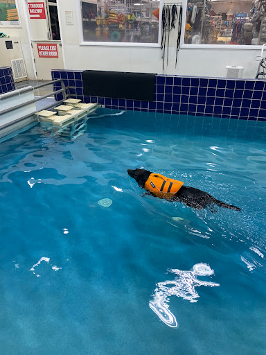 Pet Supply Store «Pet Depot Inc», reviews and photos, 2151 Greenspring Dr, Lutherville-Timonium, MD 21093, USA