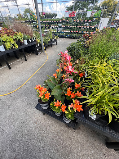 Department Store «Walmart Supercenter», reviews and photos, 1112 Nashville Pike, Gallatin, TN 37066, USA