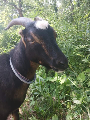 Explore afro tattoo ideas, creative tattoo ideas in Mesquite, available at Stuck On You Tattoos & Piercings