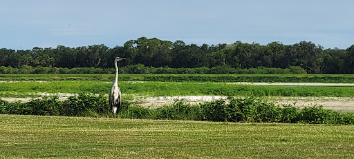 Golf Course «Buffalo Creek Golf Course», reviews and photos, 8100 69th St E, Palmetto, FL 34221, USA