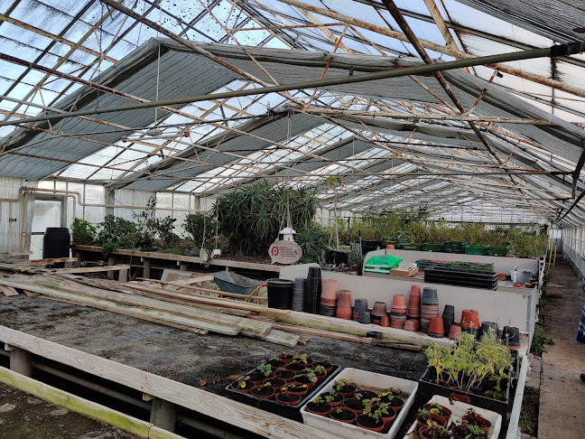 Grennessminde - Økologisk bageri - Roskilde