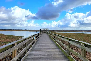 Cattail Marsh Scenic Wetlands & Boardwalk image