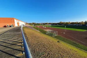 FC Halle-Neustadt e.V. image