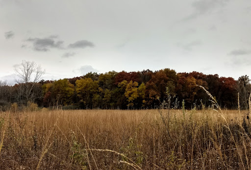 Nature Preserve «Goodenow Grove Nature Preserve», reviews and photos, 27064 Dutton Rd, Beecher, IL 60401, USA