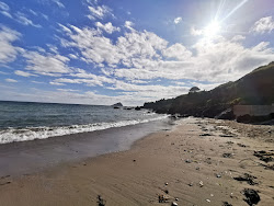Photo de Wembury beach zone des équipements