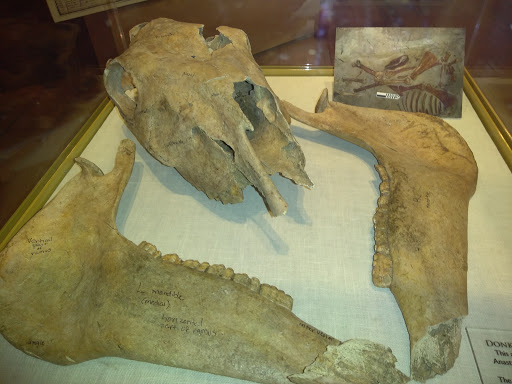 Supermarket «La Primera», reviews and photos, 6221 Ridge Rd, Port Richey, FL 34668, USA