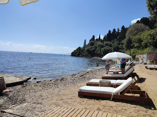 Mon Repos Beach