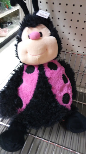 Thrift Store «Goodwill Store», reviews and photos, 2764 Jefferson Centre Way, Jeffersonville, IN 47130, USA