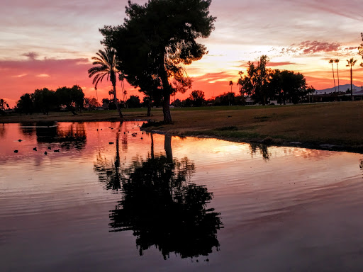 Golf Course «Palmbrook Country Club», reviews and photos, 9350 W Greenway Rd, Sun City, AZ 85351, USA