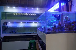 Aquarium Air Laut Semarang image