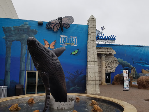 Aquarium «Long Island Aquarium», reviews and photos, 431 E Main St, Riverhead, NY 11901, USA