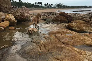 Fannie Bay Foreshore image