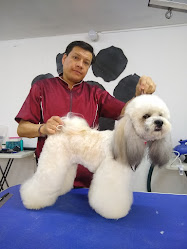 Mr. Fígaro peluquería y estética canina