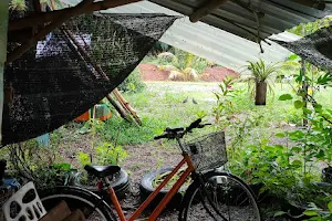 The Bamboo House & Bike Tour image