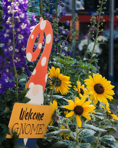 Hardware Store «McLendon Hardware», reviews and photos, 1111 Fryar Ave, Sumner, WA 98390, USA