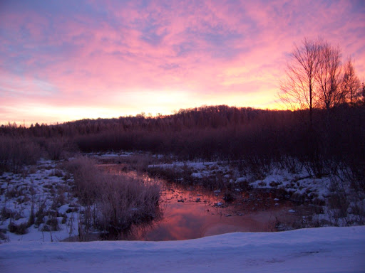 General Store «Corner Store», reviews and photos, 3109 Razorback Rd, Sayner, WI 54560, USA