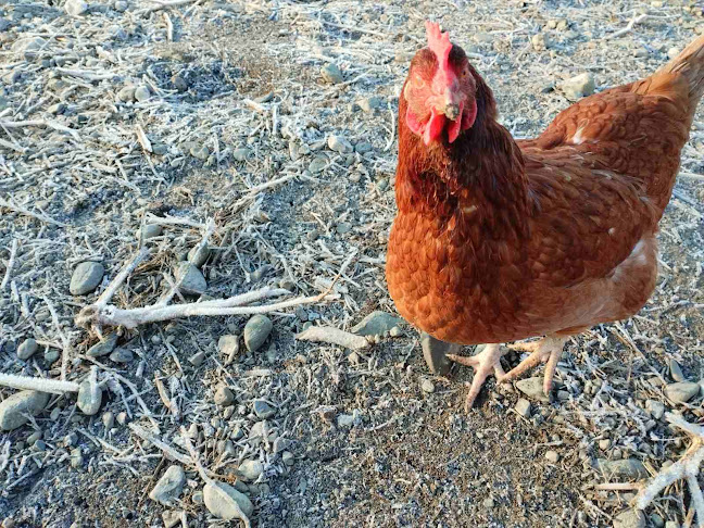 Ηρ. Πολυτεχνείου 265, Λάρισα 412 21