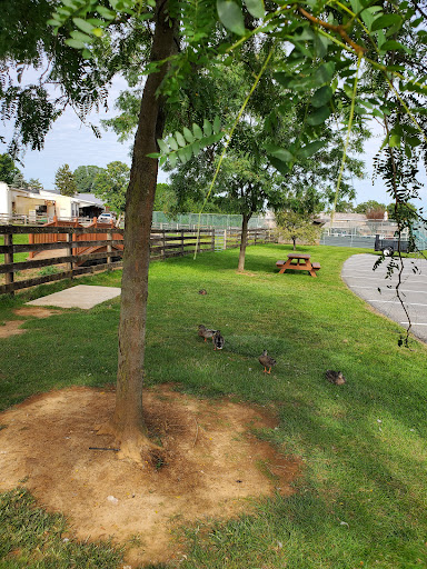 Golf Course «Waters Edge Mini Golf», reviews and photos, 230 N Ronks Rd, Bird in Hand, PA 17505, USA