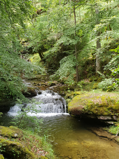 puertas automaticas Parque Natural Sierra de Cebollera en Villoslada de Cameros