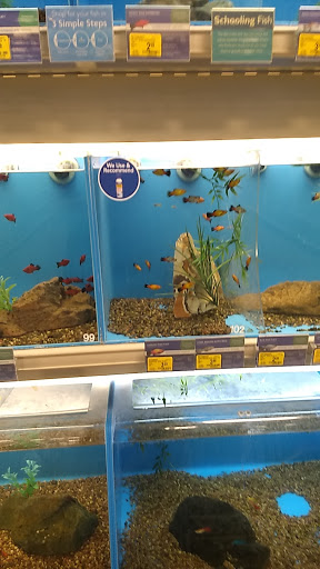 Fish spa Fontana