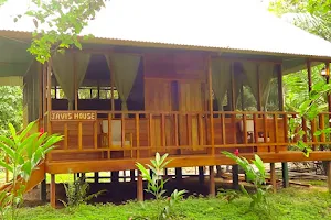 Passiflora Camp image